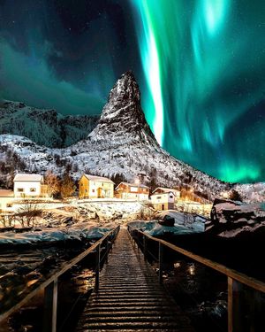 Image post by @discovery on Instagram