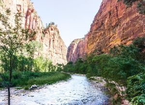 Image post by @_matthewcletus on Instagram