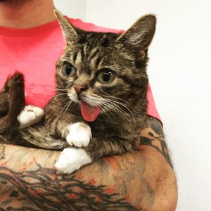 Image post by @animalplanet on Instagram