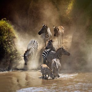 Image post by @discovery on Instagram