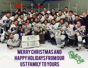 Image post by @tommiemhockey on Instagram