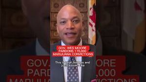 Video post by @msnbc on YouTube