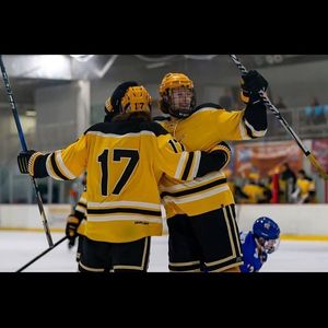 Image post by @lbsuhockey on Instagram