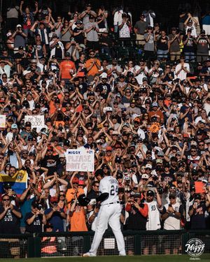 Image post by @tigers on Instagram