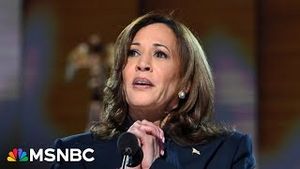 Video post by @msnbc on YouTube