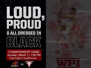 Image post by @wpiathletics on Instagram