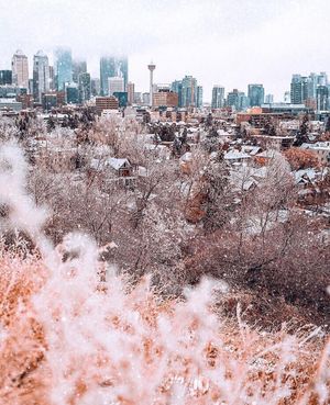 Image post by @cityofcalgary on Instagram