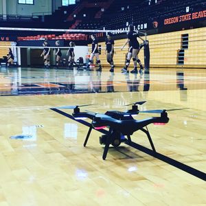Image post by @beavervball on Instagram