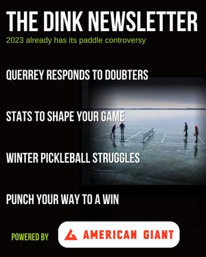 Image post by @thedinkpickleball on Instagram