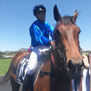 Image post by @australianturfclub on Instagram