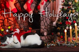 Image post by @fotodioxpro on Instagram