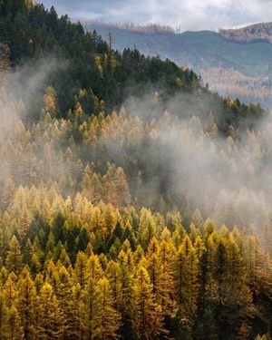 Image post by @nationalparkservice on Instagram