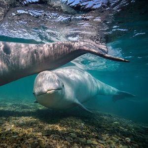 Image post by @natgeo on Instagram