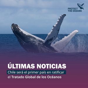 Image post by @greenpeace on Instagram