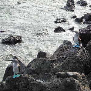 Image post by @umsoc on Instagram