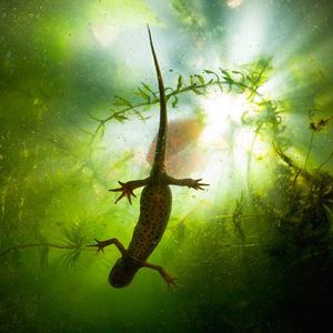 Image post by @discovery on Instagram