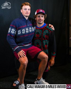 Image post by @nhl on Instagram