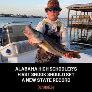 Image post by @outdoor_life on Instagram