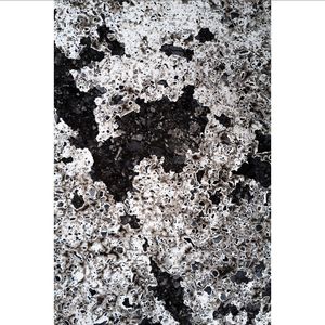 Image post by @courtordernyc on Instagram