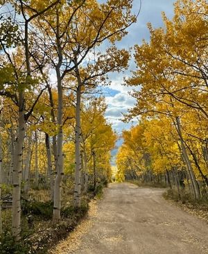 Image post by @9newsdenver on Instagram