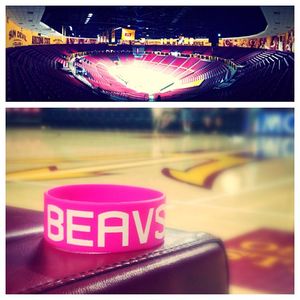 Image post by @beavervball on Instagram