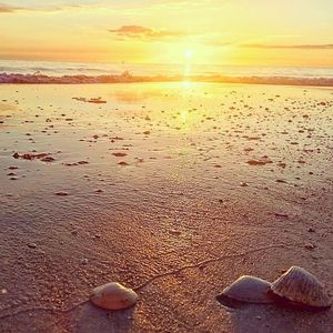Image post by @visitsarasotacounty on Instagram
