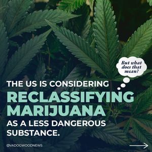 Image post by @vadogwoodnews on Instagram