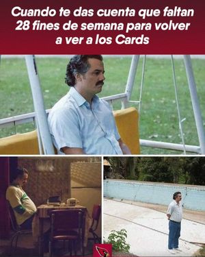 Image post by @azcardenales on Instagram