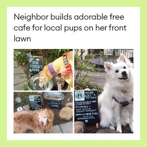 Image post by @nextdoor on Instagram