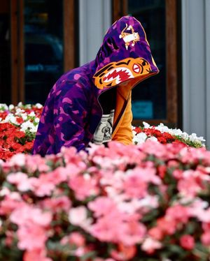 Image post by @shotbytwinky on Instagram