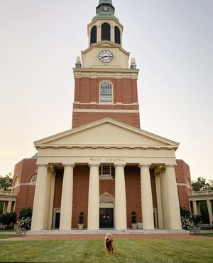 Image post by @wfuniversity on Instagram