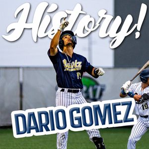 Image post by @nocoowlz on Instagram