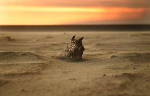 Image post by @discovery on Instagram