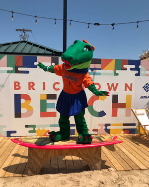 Image post by @albertathegator on Instagram