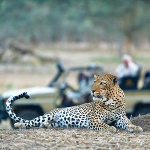 Image post by @chiawasafaris on Instagram