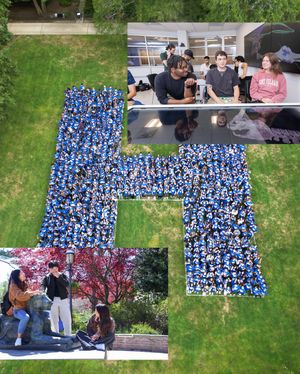 Image post by @hofstrau on Instagram