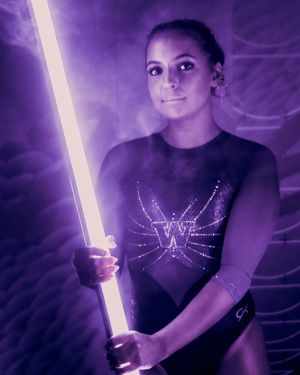 Image post by @uwgymnastics on Instagram