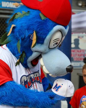 Image post by @crosscutters on Instagram