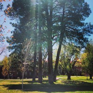 Image post by @nauflagstaff on Instagram