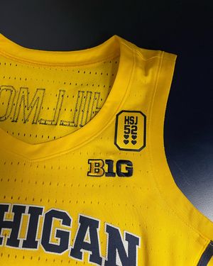 Image post by @umichwbball on Instagram