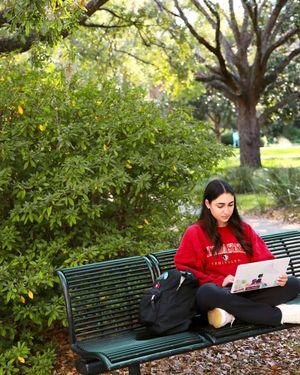 Image post by @floridastateuniversity on Instagram
