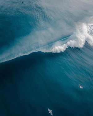 Image post by @dronepals on Instagram