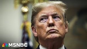 Video post by @msnbc on YouTube