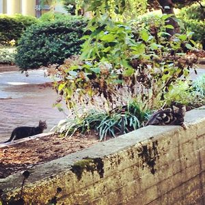 Image post by @hofstrau on Instagram