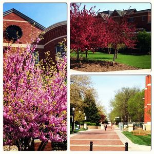 Image post by @creighton1878 on Instagram