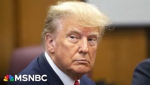 Video post by @msnbc on YouTube