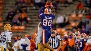 Video post by @swampfox productions on YouTube