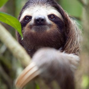 Image post by @animalplanet on Instagram