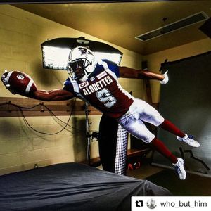 Image post by @mtlalouettes on Instagram
