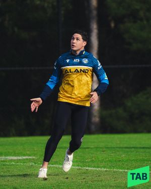 Image post by @theparraeels on Instagram